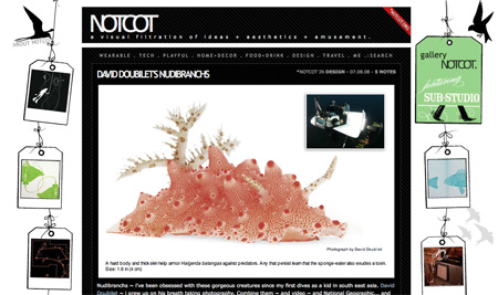 Design and Inspiration Websites Design and Inspiration Websites