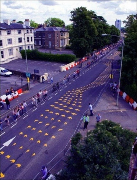 Pedestrian Street Art by Peter Gibson 12