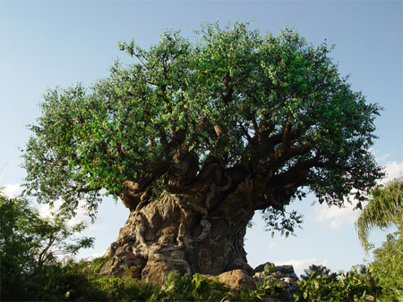 The Tree of Life at Disneys Animal Kingdom Seen On lolpicturegallery.blogspot.com 20