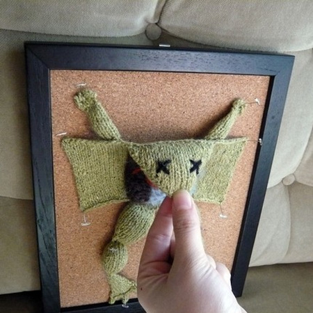 Seen On coolpicturesgallery.blogspot.com Knitted Frog Dissection 2
