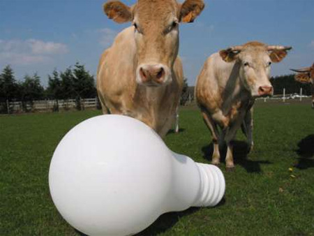 Giant Light Bulb Shaped Lamp 3