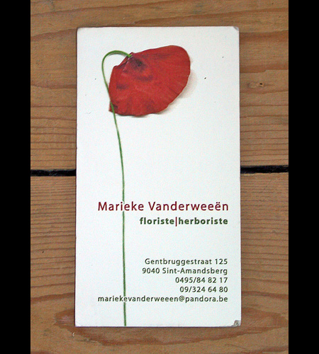Marieke Vanderweeen Business Card