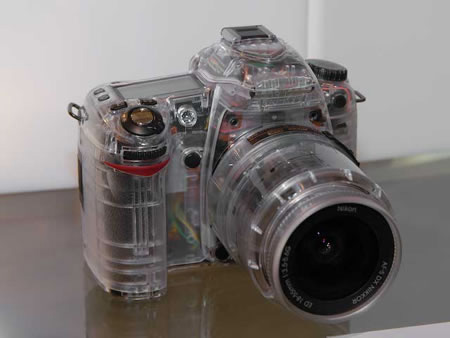 Transparent Nikon D80