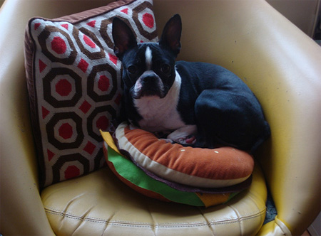 Hamburger Pillow