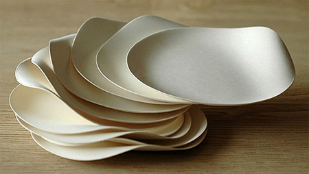 Wasara Paper Dishes