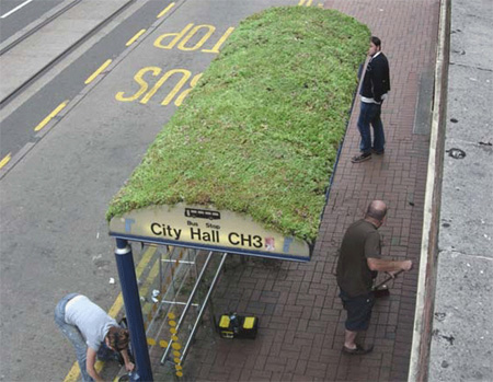 Sheffield Bus Stop