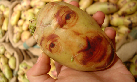 Potato Portraits by Ginou Choueiri