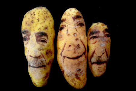 Potato Portraits by Ginou Choueiri 5