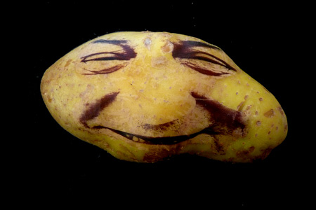 Potato Portraits by Ginou Choueiri 11