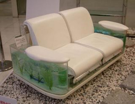 Sofa Aquarium