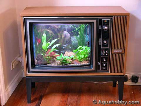 Old TV Aquarium