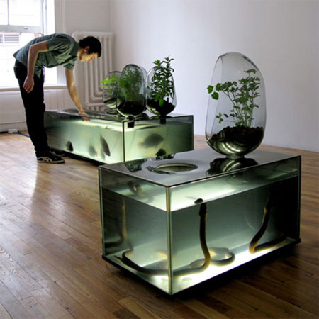 Cool Fish Tank Ideas