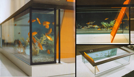 aquarium10.jpg
