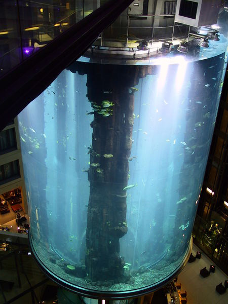aquarium12.jpg