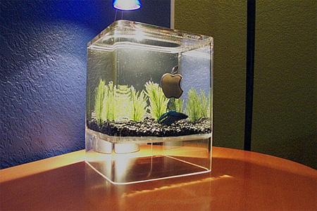 15 Unusual and Creative Aquariums