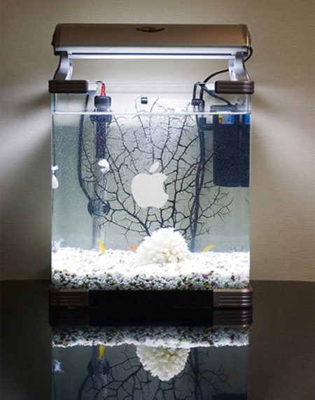 Computer Aquarium