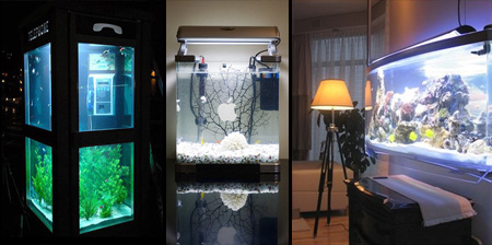 Contemporary Kitchen Ideas on Modern Fish Tanks And Creative Aquarium Designs From All Over The