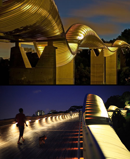 Henderson Waves Bridge