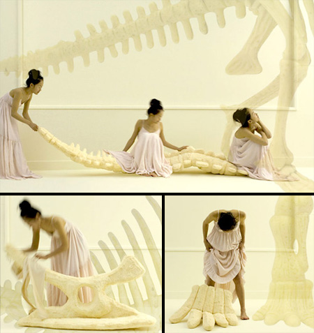 Dinosaur Bones Pillows