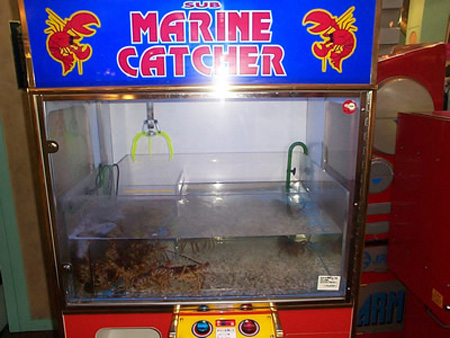 Live Lobsters Vending Machine