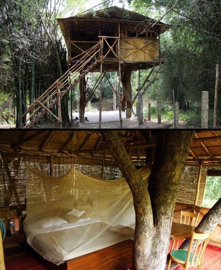 Treehouse Hotel in India|www.FunShad.com