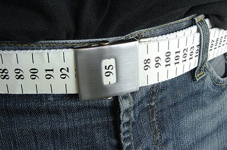 Weight Watch Belt