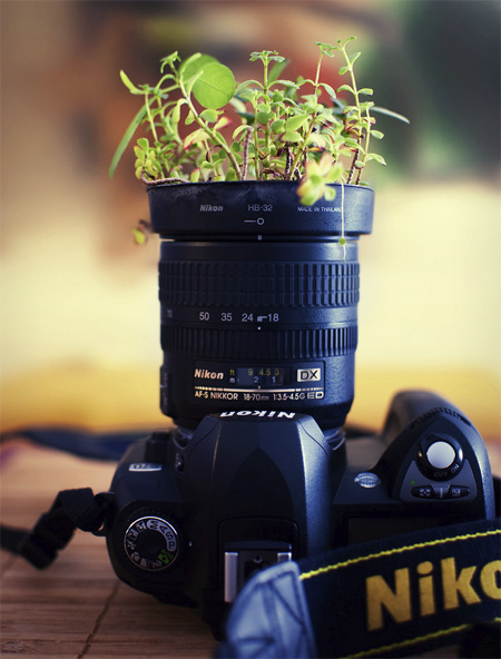 Nikon Camera Plant Pot