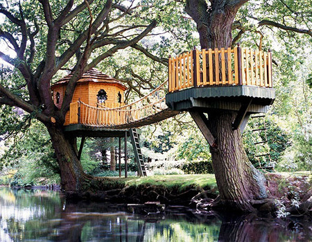 Beautiful Amazon Tree Houses 3 عکسهایی زیبا ازخانه های درختی جالب