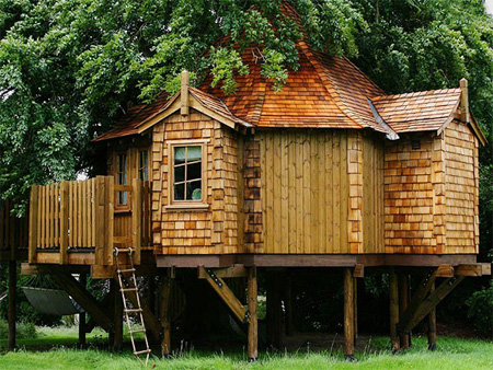 Beautiful Amazon Tree Houses 8 عکسهایی زیبا ازخانه های درختی جالب