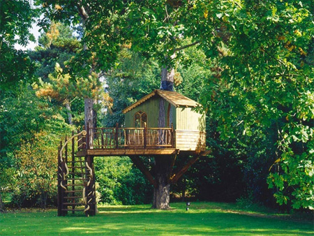 Beautiful Amazon Tree Houses 9