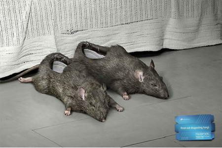 Rat Slippers