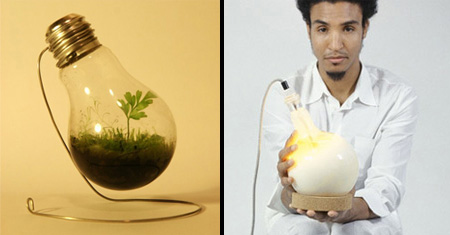 Light Bulb Inspired Designs