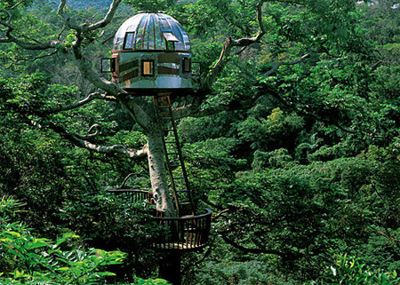 Unusual and Creative Tree Houses Seen On www.coolpicturegallery.net