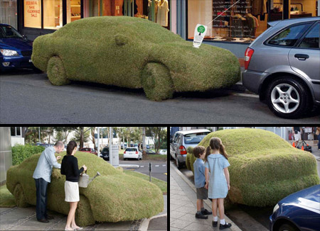 Sony Grass Car