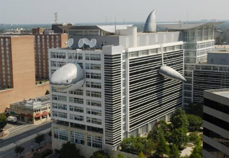 Shark Building