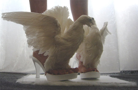 bird shoes