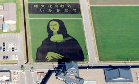 Art on Rice Fields in Japan