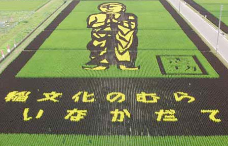 Rice Fields Art