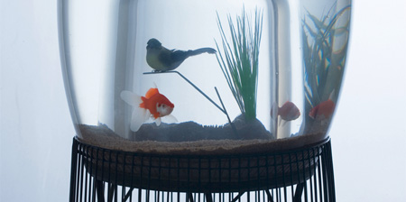 Bird Cage Aquarium