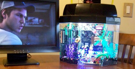 Aquarium Computer