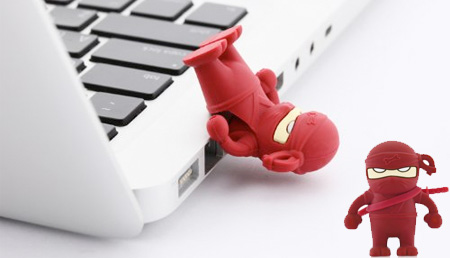 Ninja USB Flash Drive