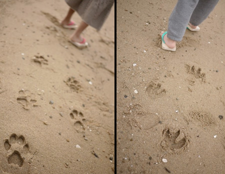 Footprint Sandals