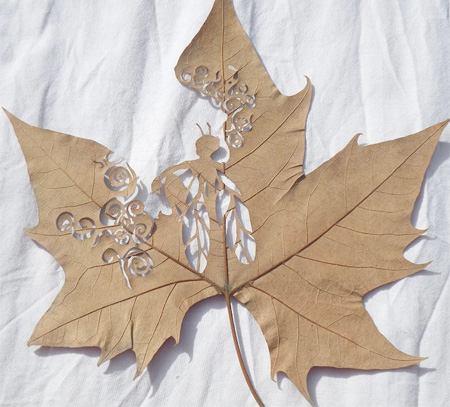 Beautiful Leaf Carving