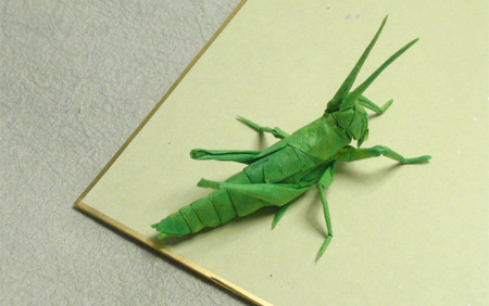 Locust Origami