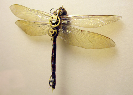 Steampunk Dragonfly