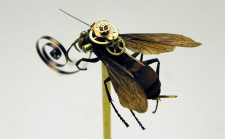 Steampunk Fly