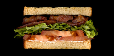 Scanned Sandwiches