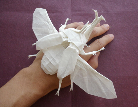 Origami Beetle