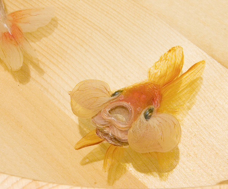 Realistic Fish Painting