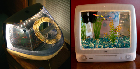 Imac Fish